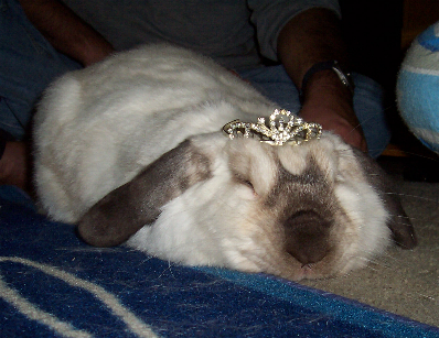 Princess Twinky